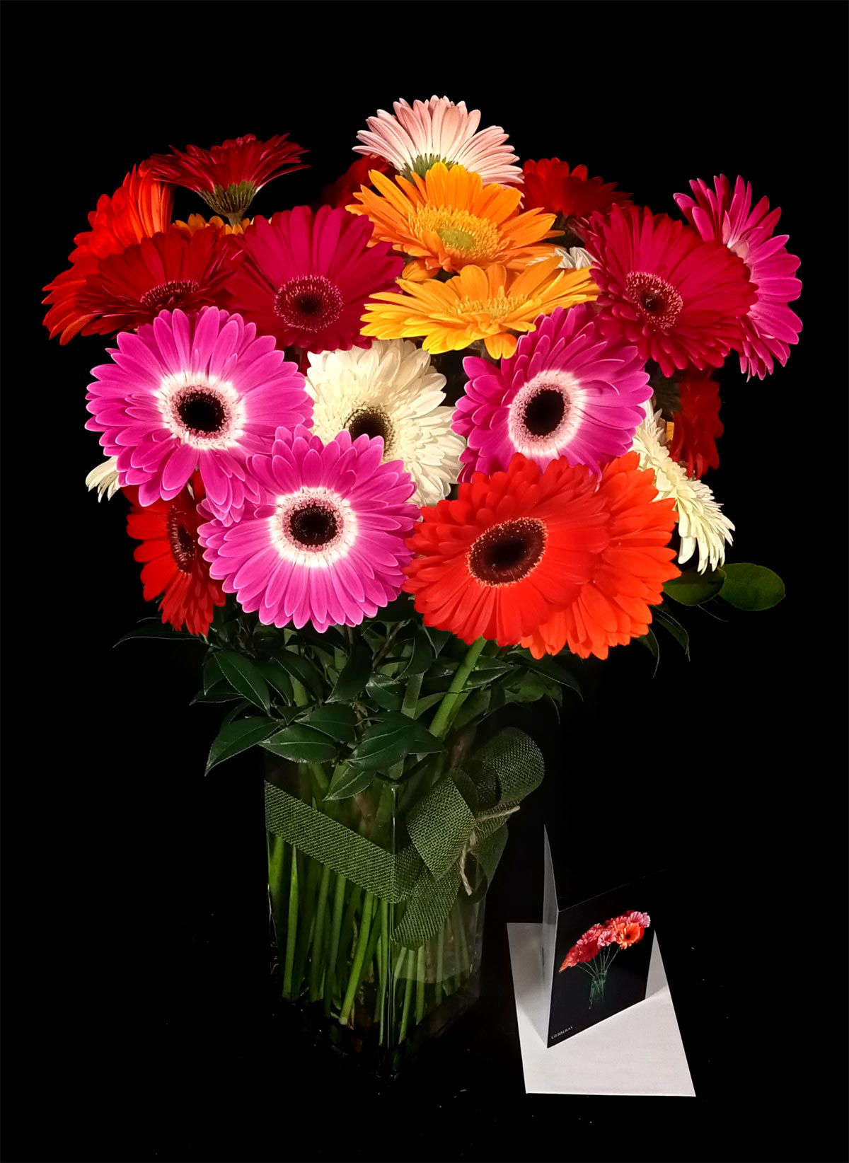 30 GERBERAS IN VASE