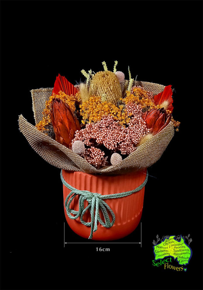 DRIED FLOWERS in 16cm CONTAINER