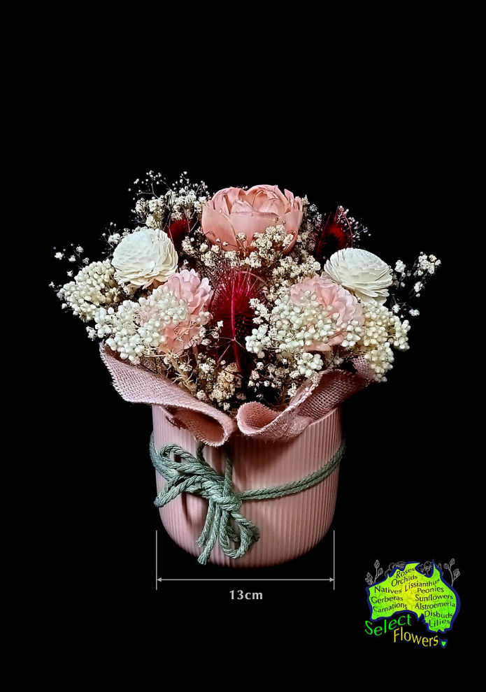 DRIED FLOWERS in 13cm CONTAINER