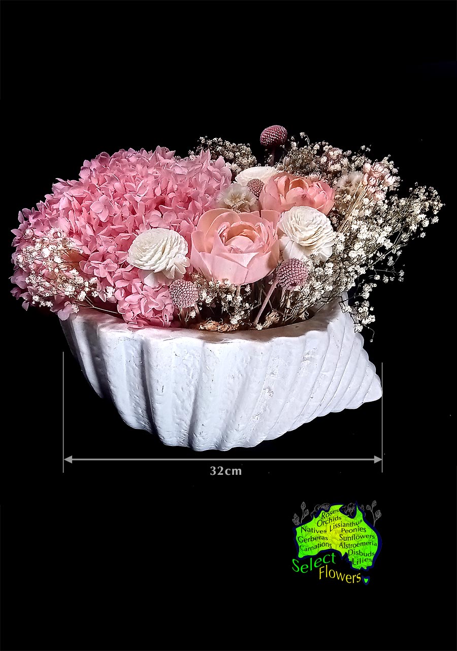 DRIED FLOWERS in 32cm SHELL