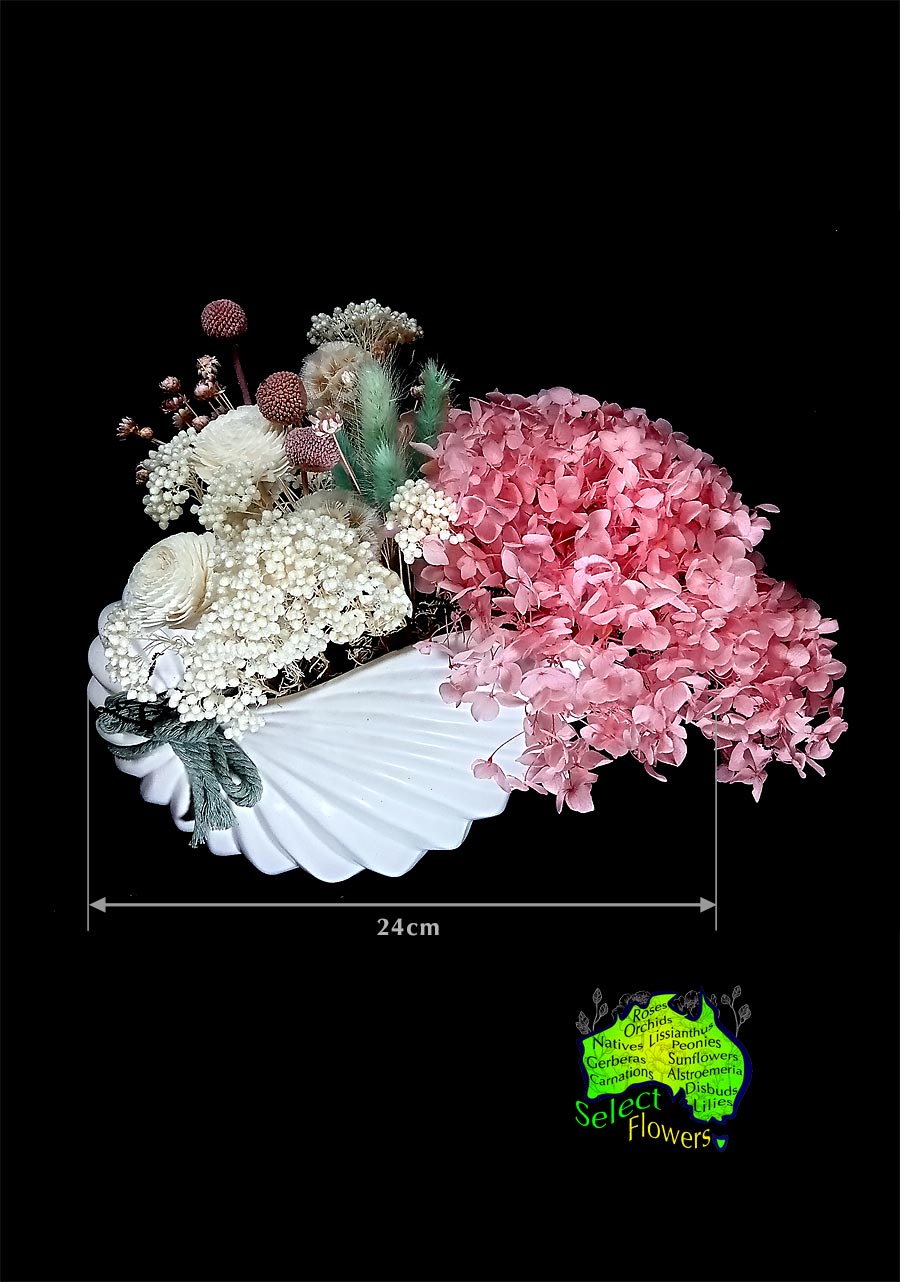 DRIED FLOWERS in 24cm SHELL