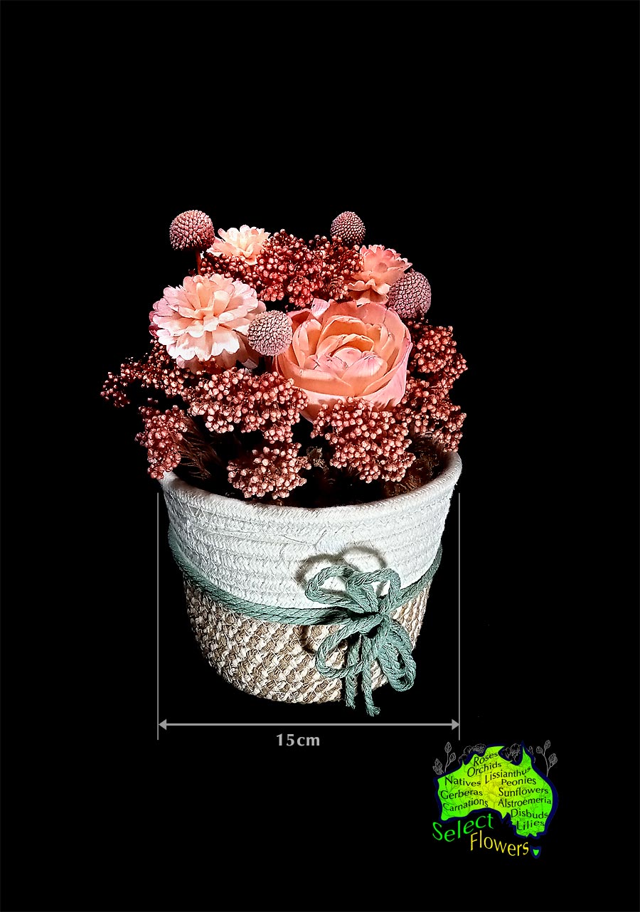 DRIED FLOWERS in 15cm BASKET
