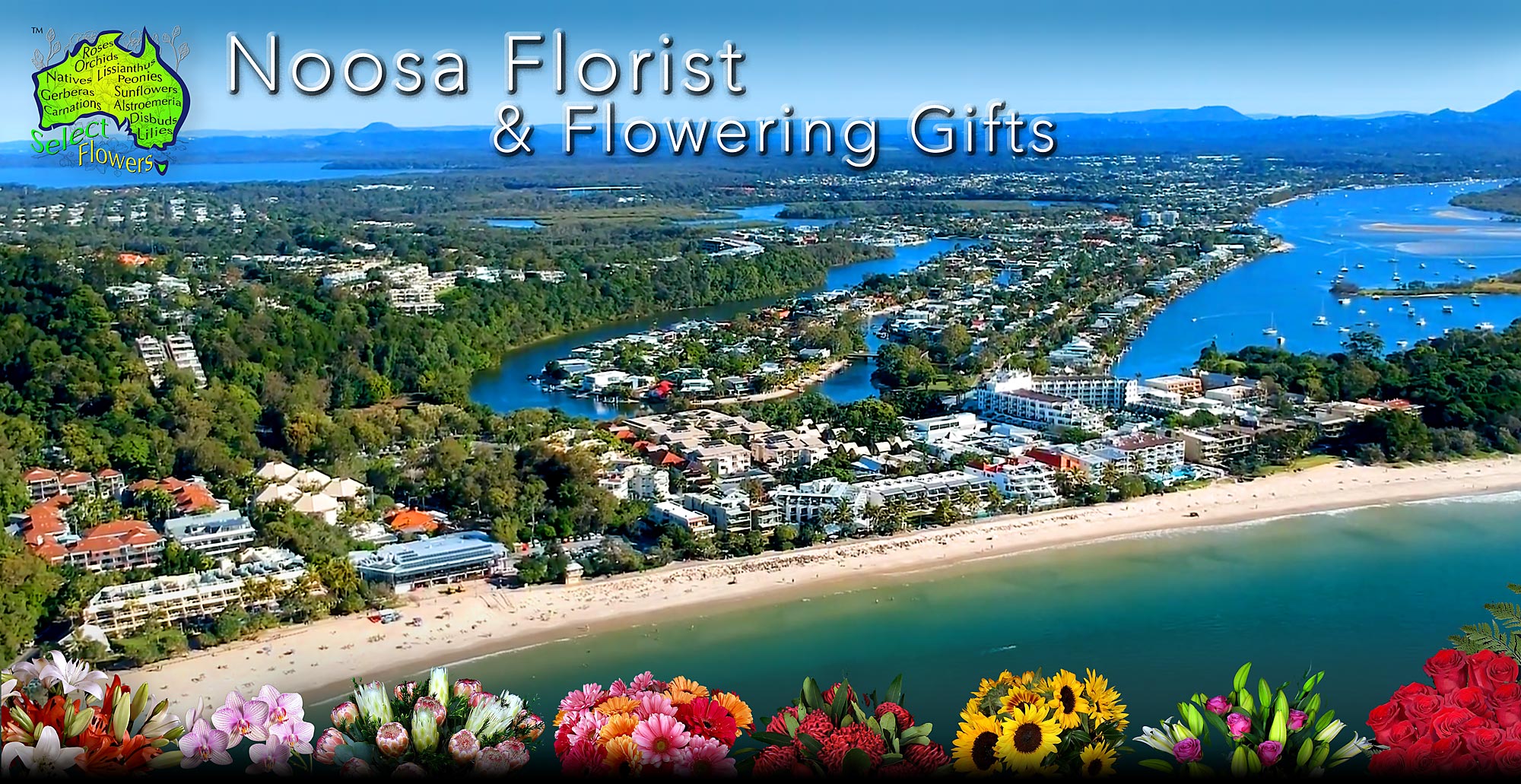 NOOSA FLORIST